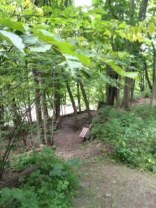 Back Mountain Trail