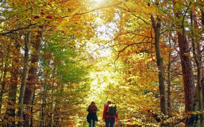 Dog Friendly Hiking Trails in Luzerne County, PA