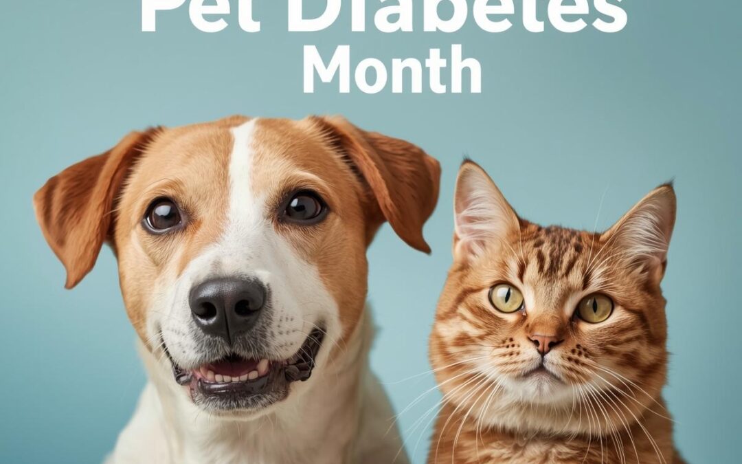 What Are the Symptoms of Diabetes in Pets?