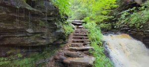 Ricketts Glen State Park