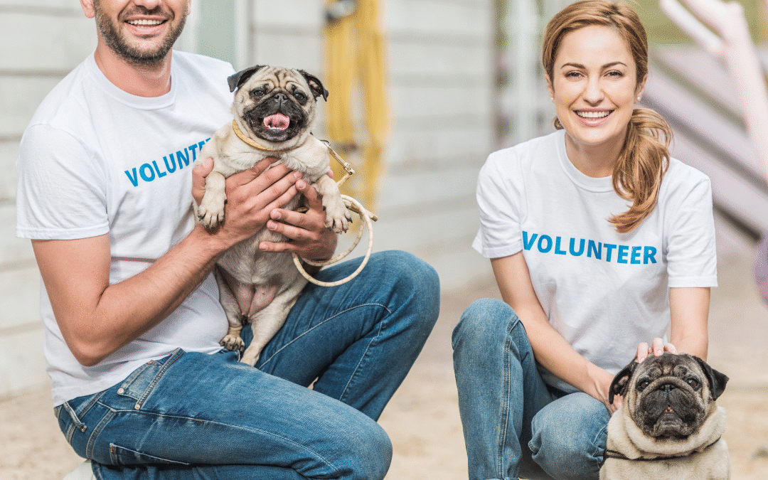 Supporting Your Local Animal Shelter