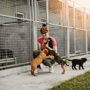 Support Shelter Operations