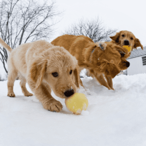Don’t Forget Outdoor Exercise