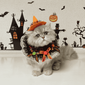 Wishing Your Pets a Safe and Happy Halloween!