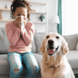 Understanding Allergies and Dogs