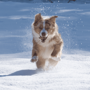 Build Consistent Exercise Habits