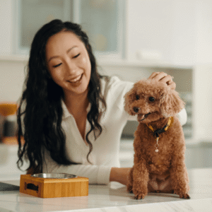 Build a Feeding Station