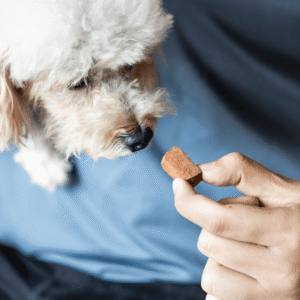How heartworm prevention works