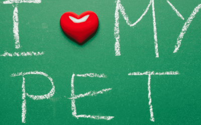 Celebrate Love Your Pet Day