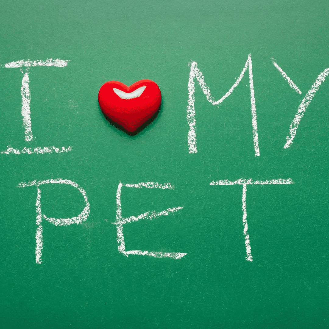 I love my pet