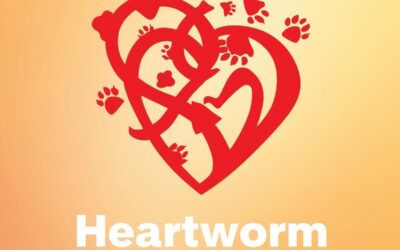 Heartworm Awareness Month