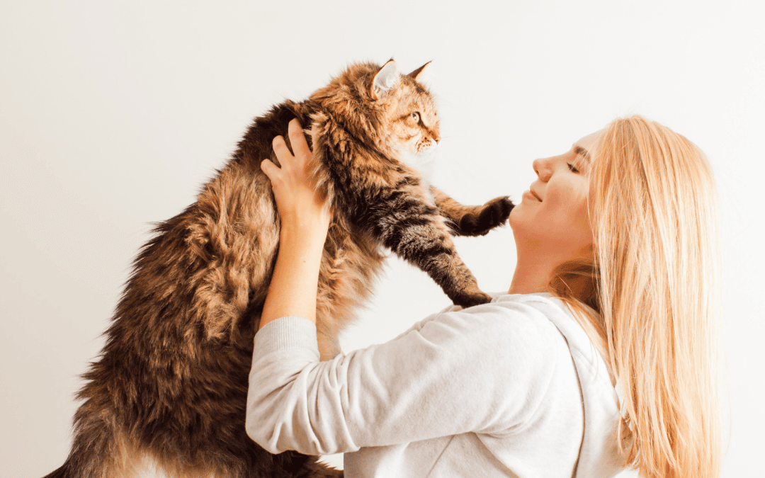 Change A Pet’s Life Day