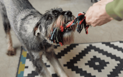 Fun Indoor Activities for Cold Days