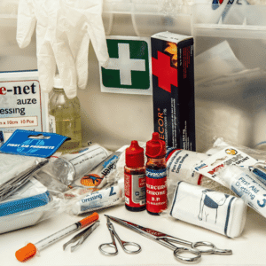 Pet first aid kit essentials