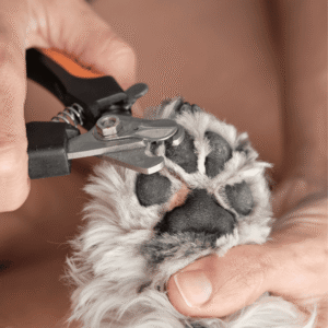 Trim Those Nails