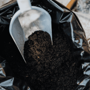 Store Lawn and Garden Products Safely