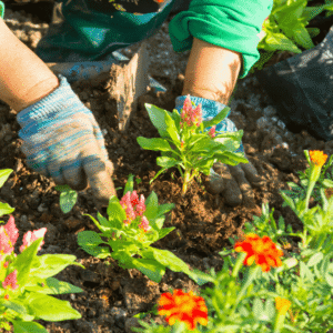 Additional Garden Safety Tips