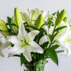 Watch Out for Toxic Plants and Flowers