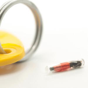 What Is a Pet Microchip?