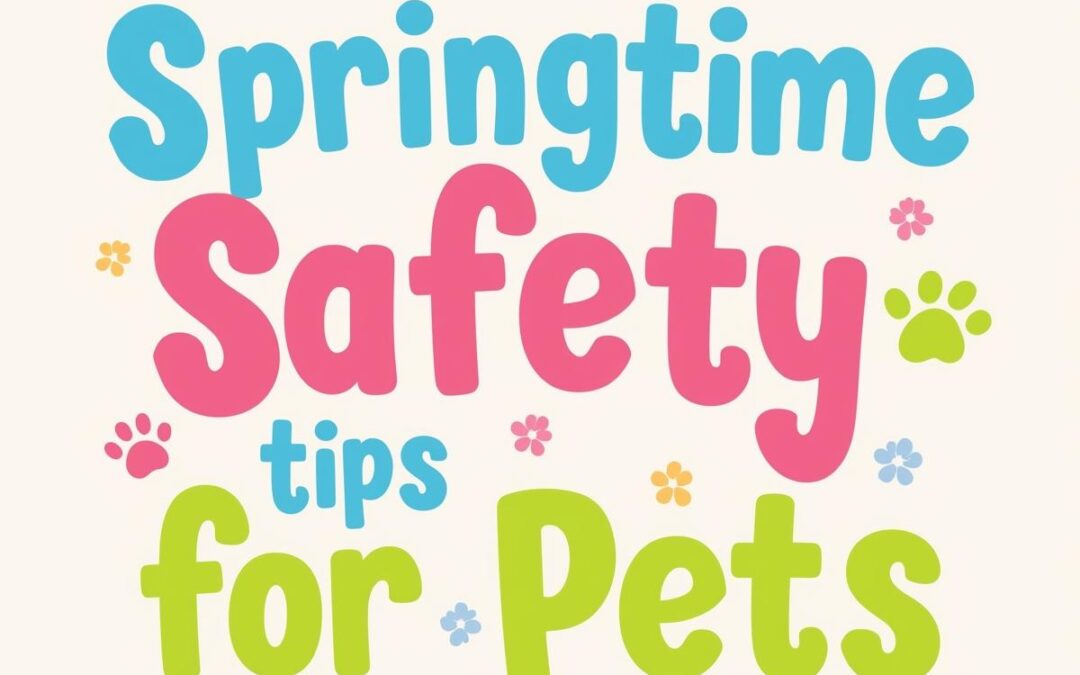 Springtime Safety Tips For Pets