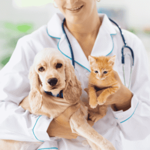 What Is Chip Your Pet Month?