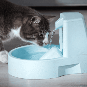 Hydration Is Essential