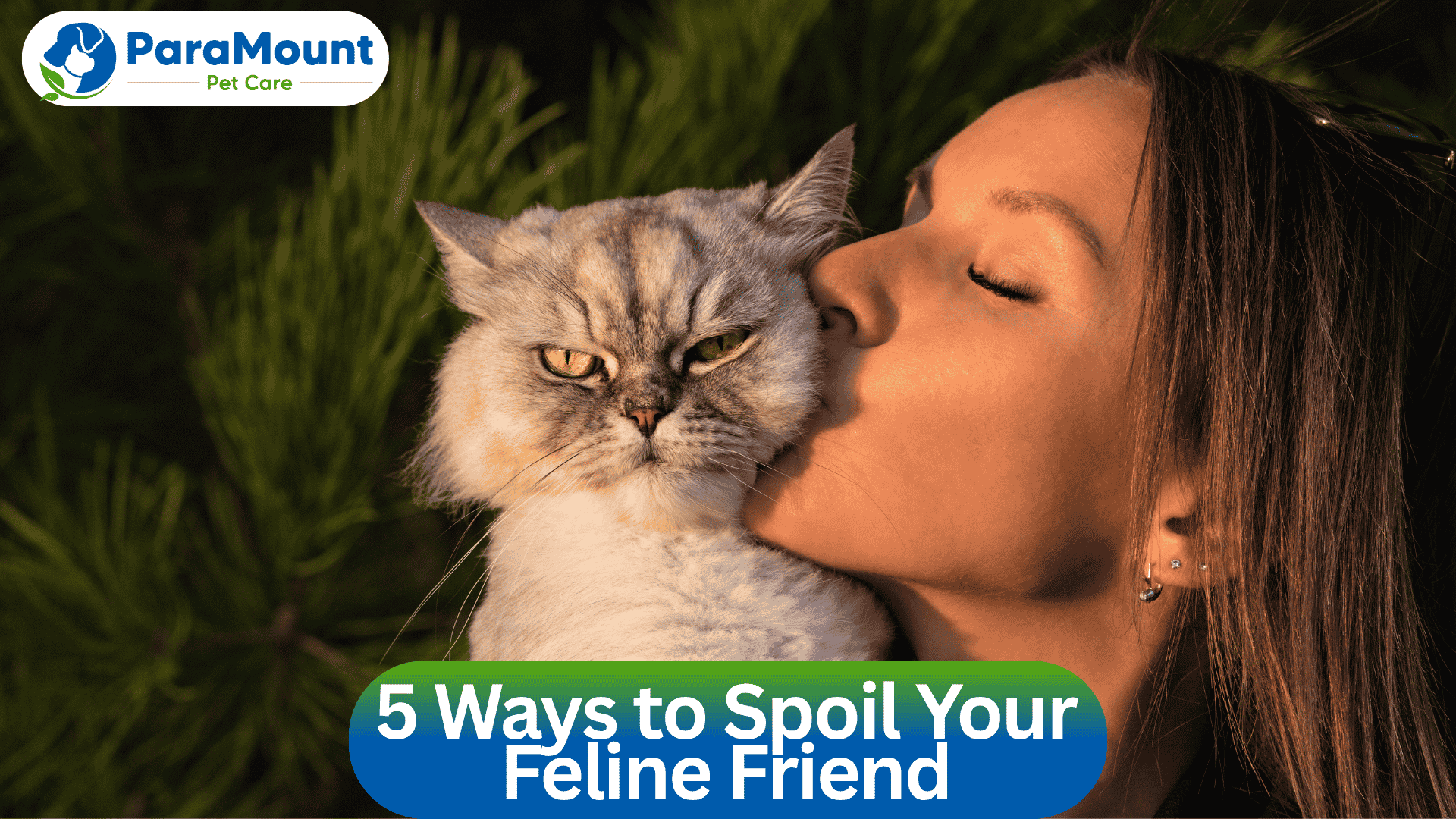 5 Ways to Spoil Your Feline Friend