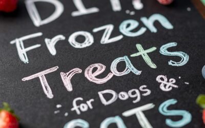 DIY Frozen Treats For Dogs & Cats