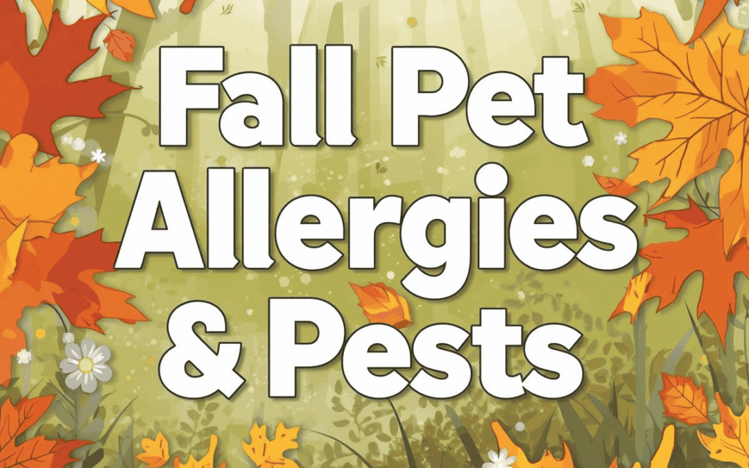 Fall Pet Allergies & Pests