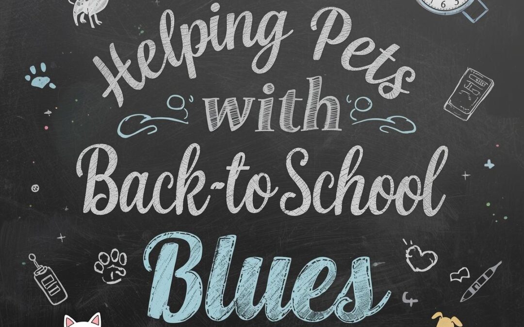 Helping Pets With Back-to-School Blues