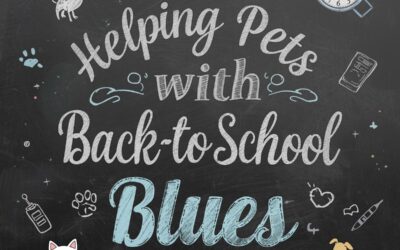 Helping Pets With Back-to-School Blues