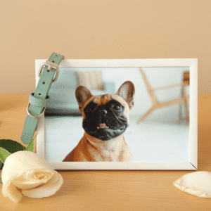 Display Their Photo or Artwork