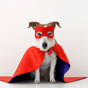 Classic Superhero