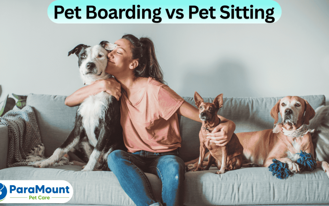 Pet Boarding vs Pet Sitting