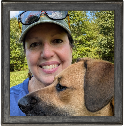 NEPA - Pet Watching Services