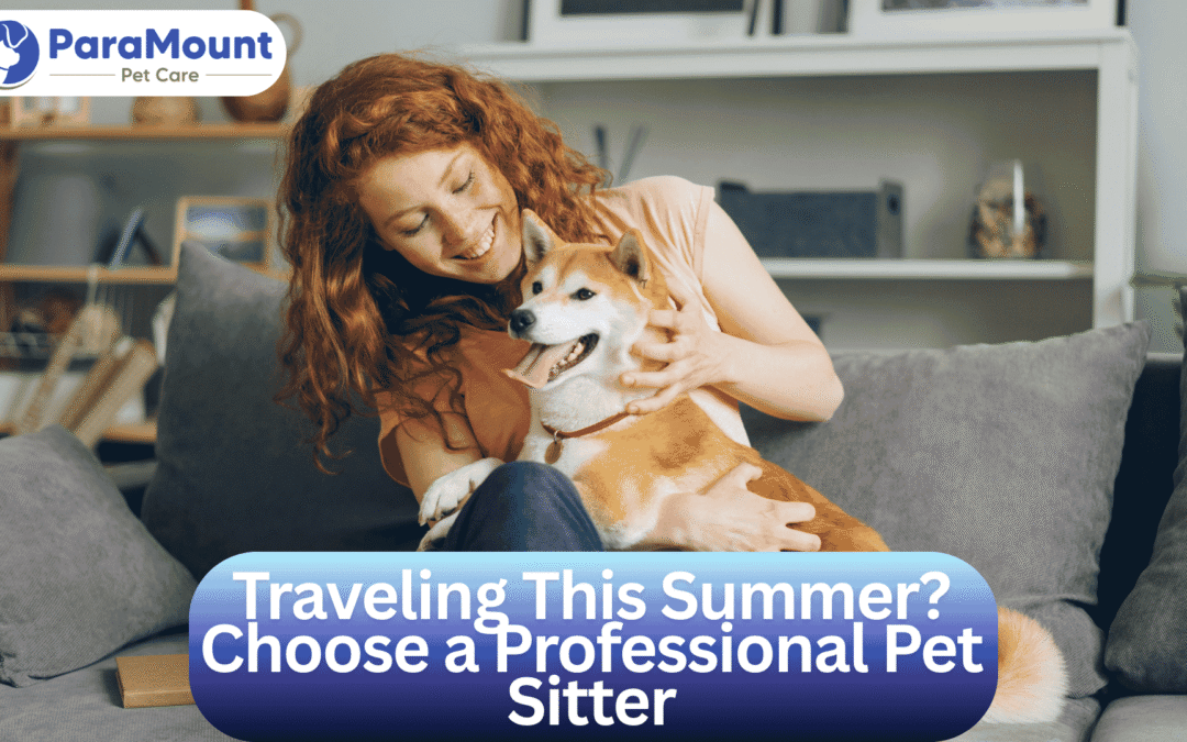 Traveling This Summer? Choose a Professional Pet Sitter