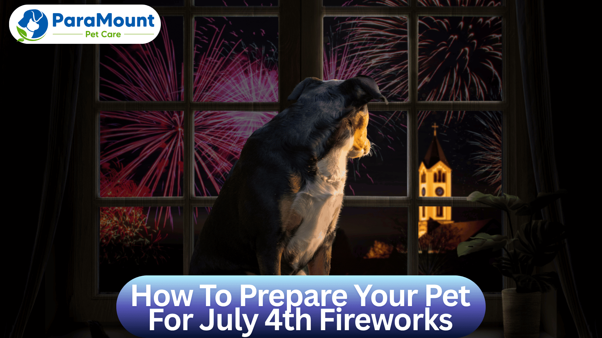 How To Prepare Your Pet For July 4th Fireworks