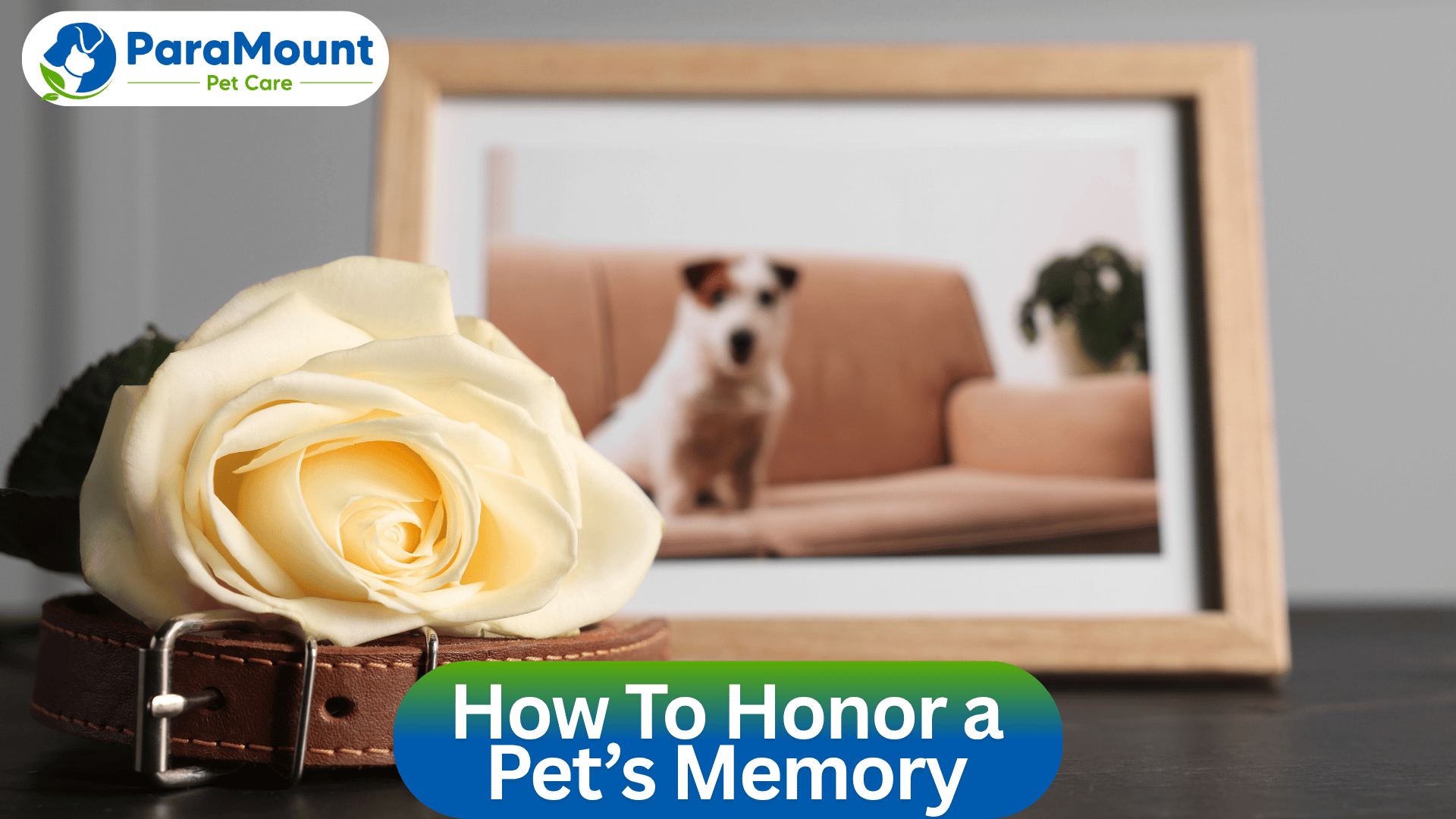 How To Honor a Pet’s Memory