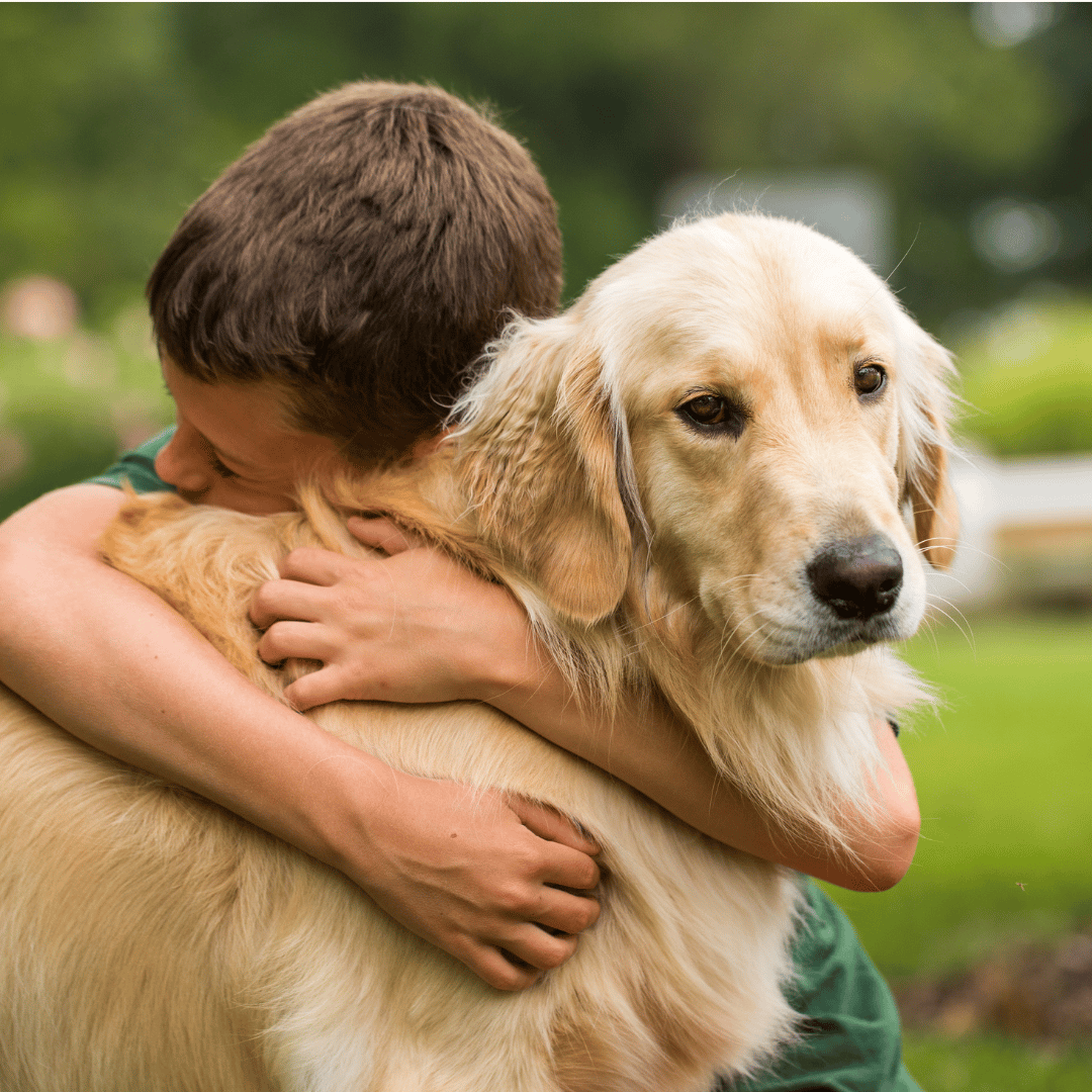Hug Your Hound Day Fun (Sept 13)
