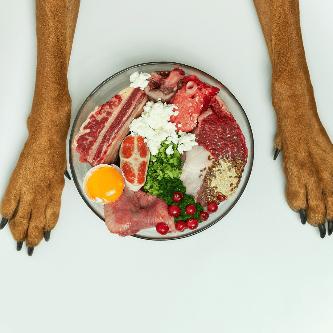 Nutrition Fundamentals