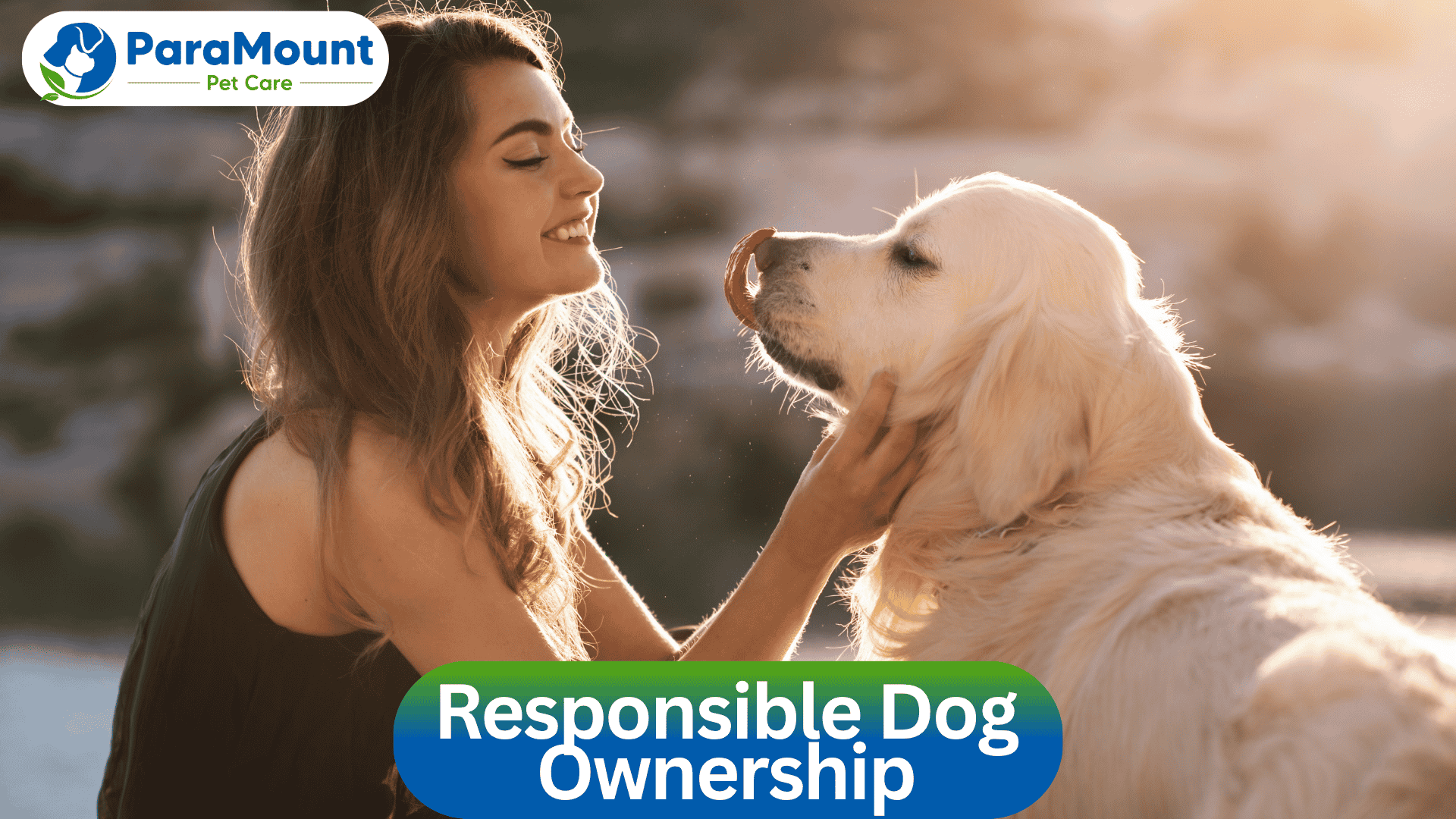 Responsible Dog Ownership