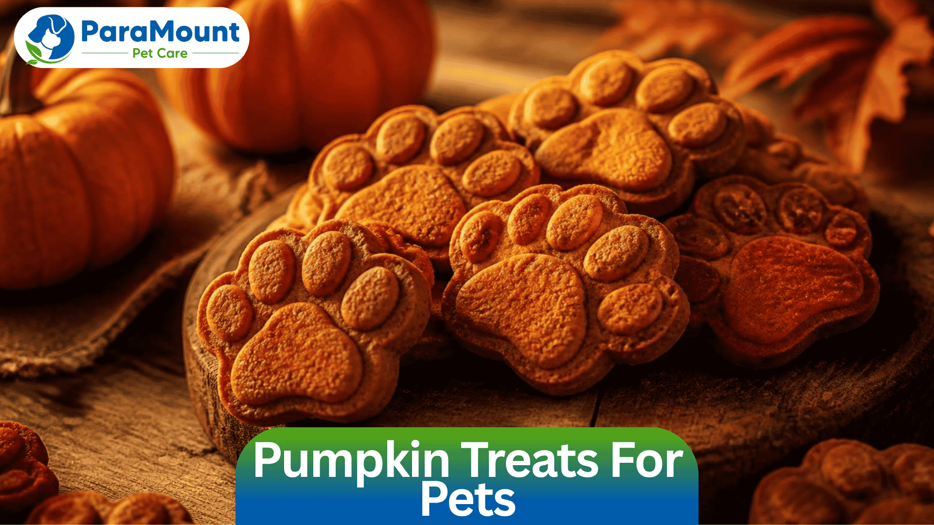 Pumpkin Treats For Pets